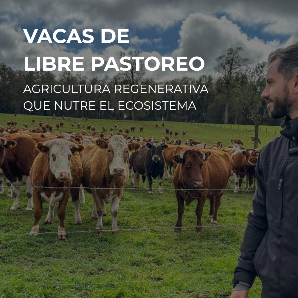 Simple y Vivo - Caldo de Hueso - Diferenciador
