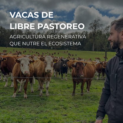 Simple y Vivo - Caldo de Hueso - Diferenciador