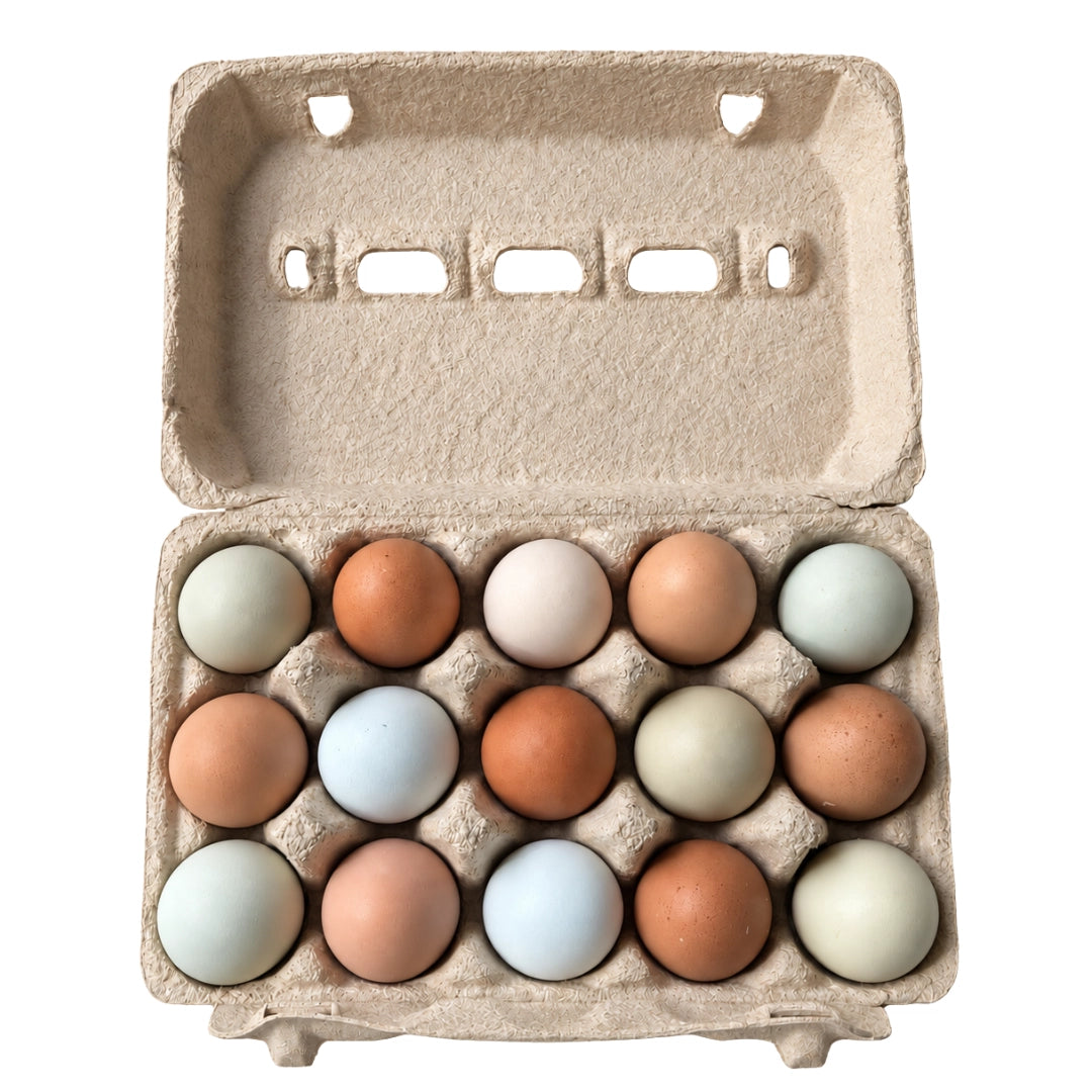 Pack 30 Huevos Gallina Criolla Libre Pastoreo