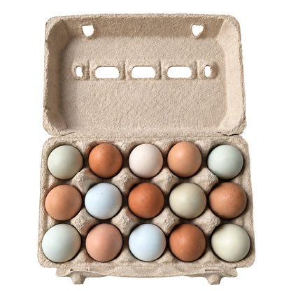 Huevos Gallina Criolla Libre Pastoreo | 15 unidades