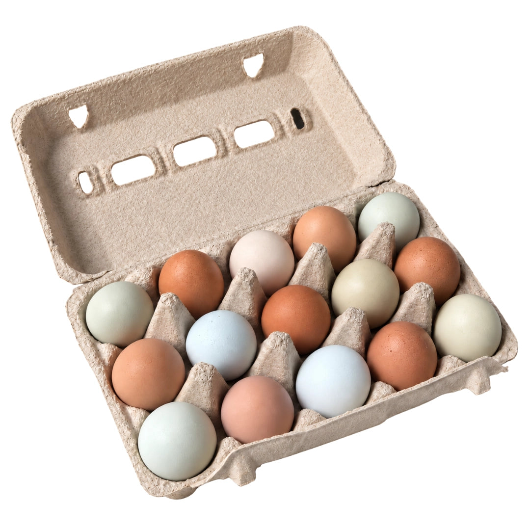 Pack 30 Huevos Gallina Criolla Libre Pastoreo