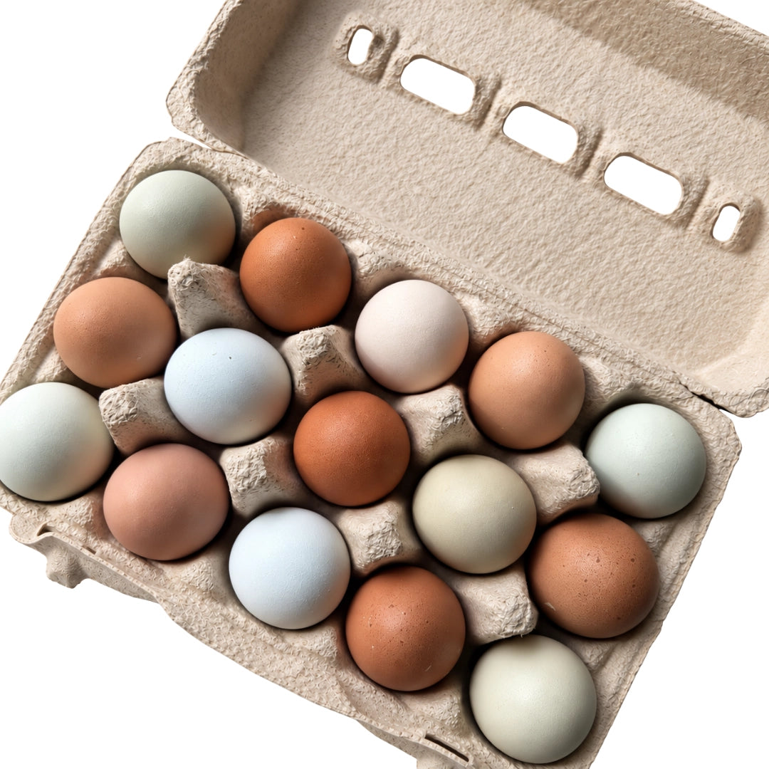 Pack 30 Huevos Gallina Criolla Libre Pastoreo