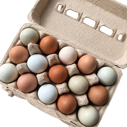 Huevos Gallina Criolla Libre Pastoreo | 15 unidades