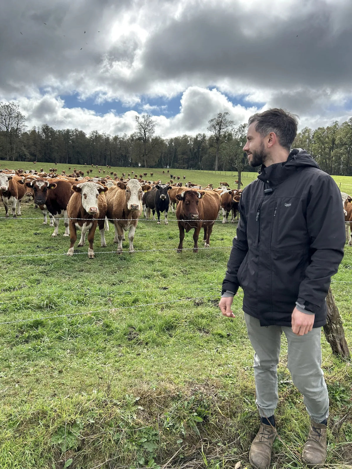 Nico visitando un campo de libre pastoreo con vacas